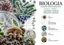 CHEMICZNE PODSTAWY ŻYCIA / KLASA II LO / ROZDZIAŁ I /  BIOLOGIA ROZSZERZONA